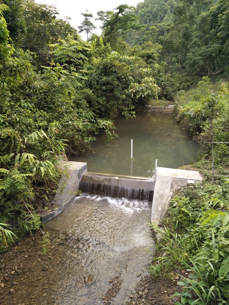 Completed check dam structure